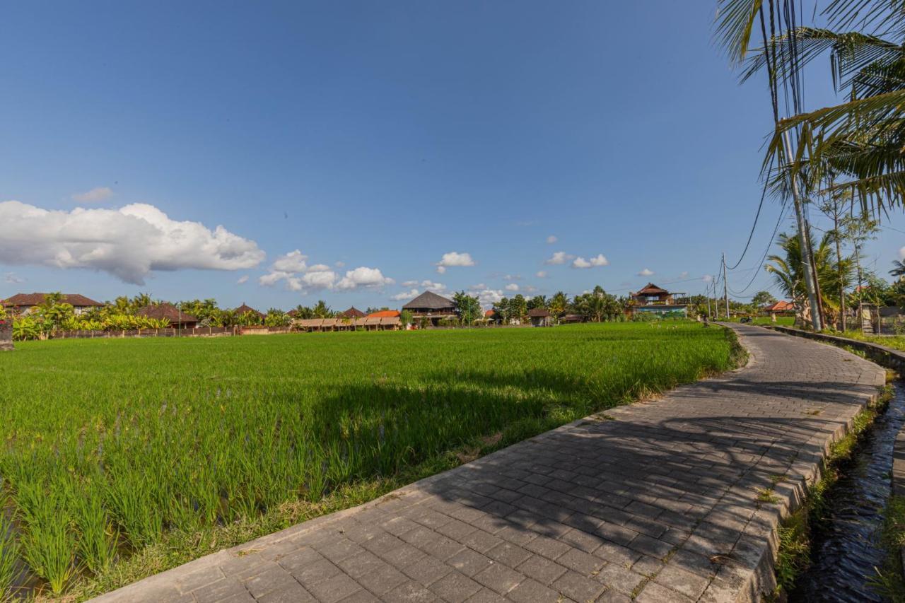 Niluh Private Villas Ubud Eksteriør billede