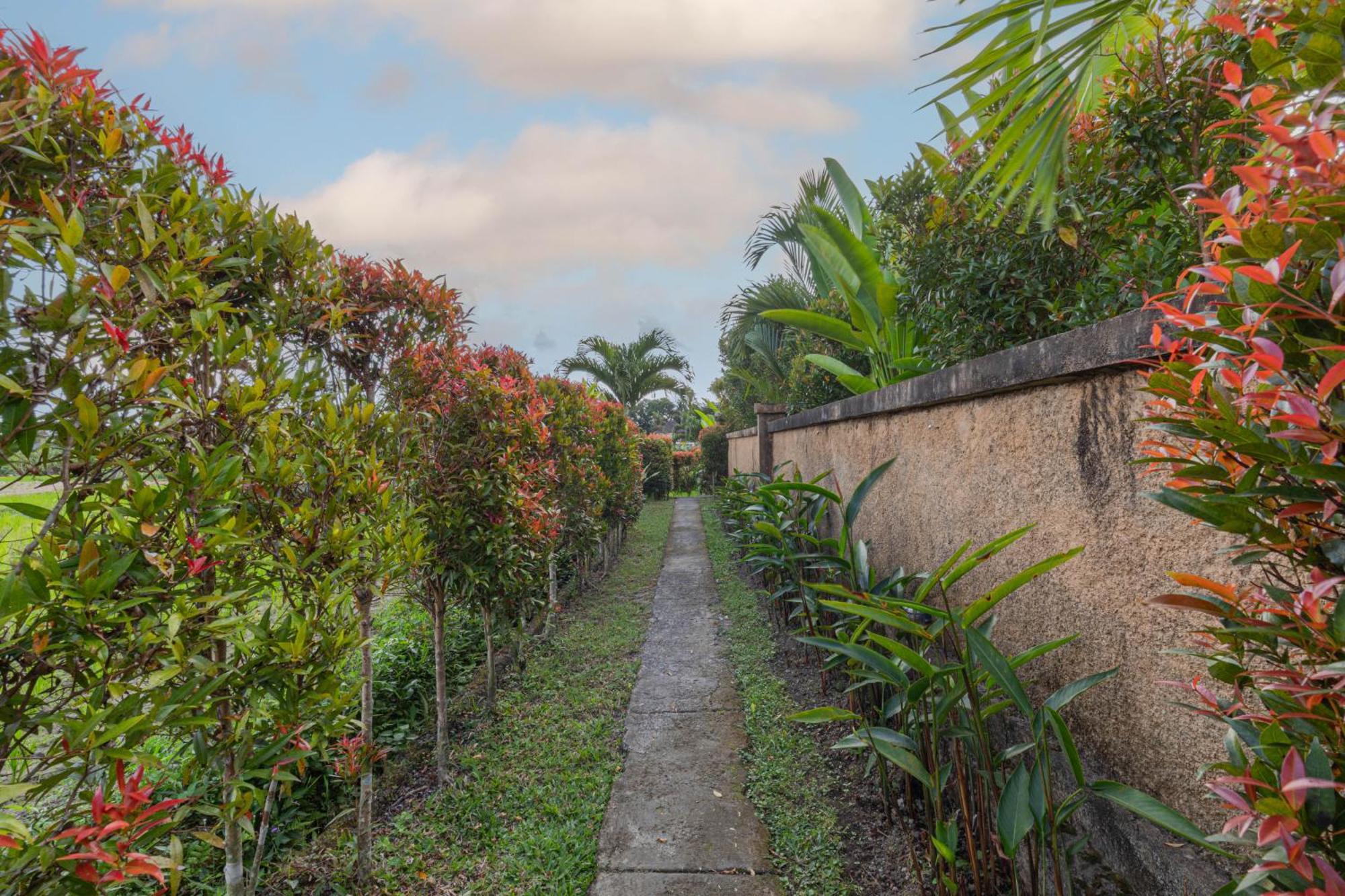 Niluh Private Villas Ubud Eksteriør billede