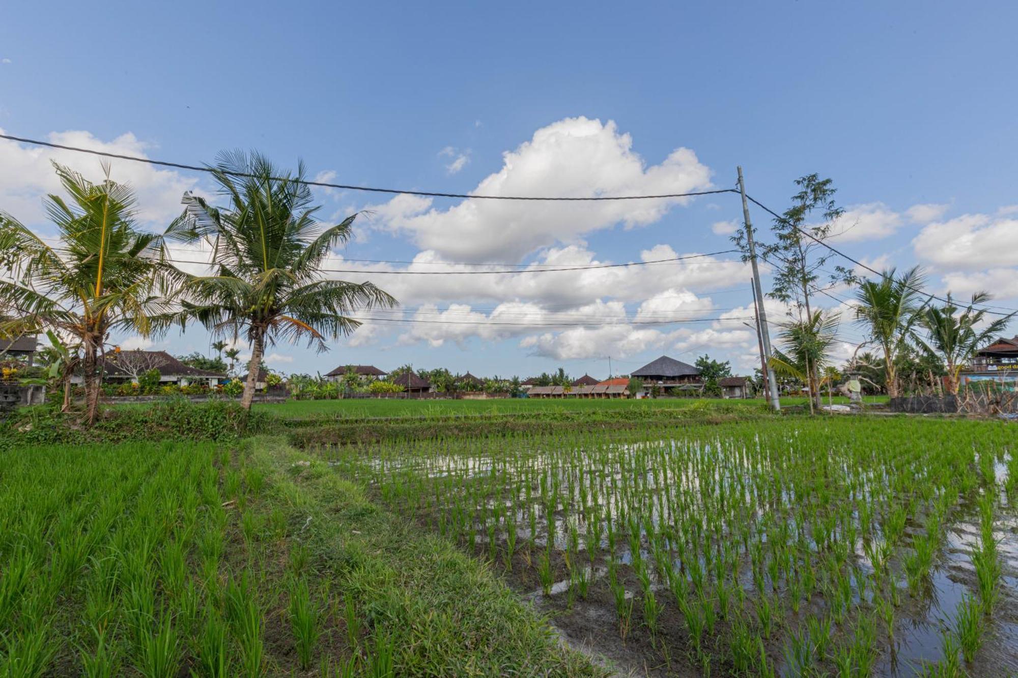 Niluh Private Villas Ubud Eksteriør billede